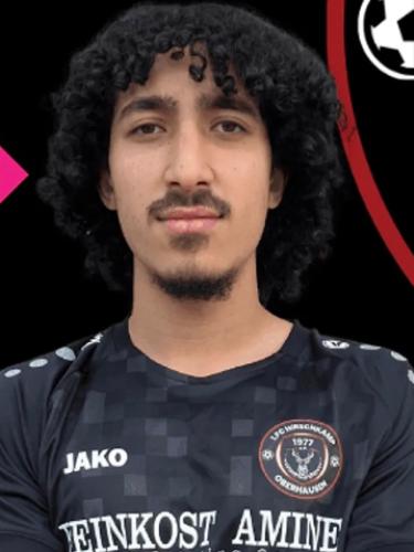 Ahmed Oweis