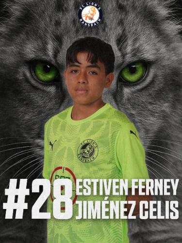 Estiven Ferney Jimenez Celis