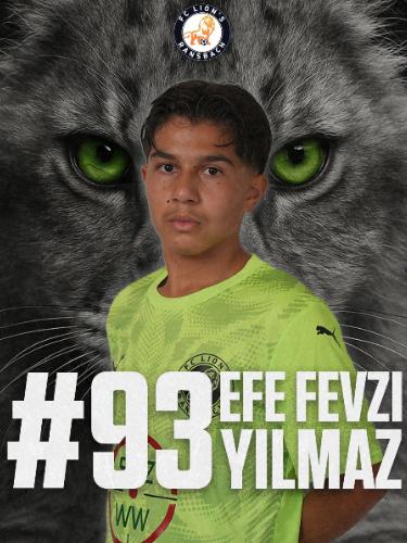 Efe Fevzi Yilmaz