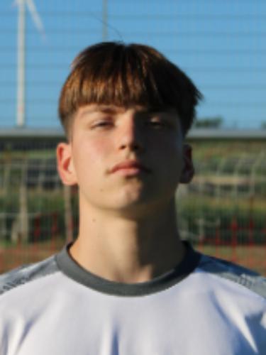 Noah Widerstein