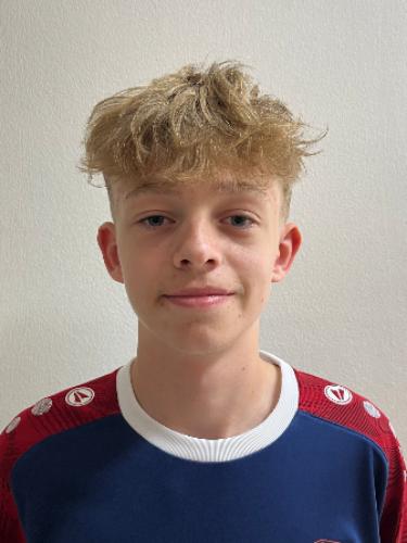 Mattis Torge van Loo