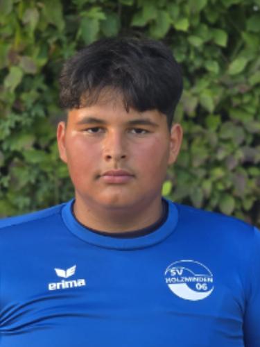 Giorgio-Julius Stein