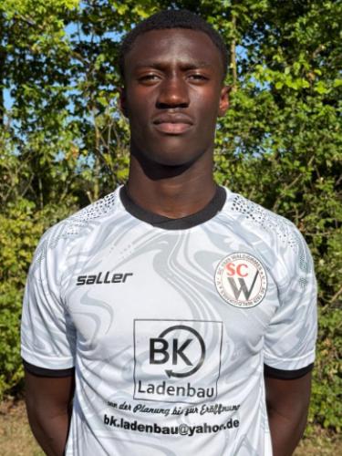 Muhammed Lamin Sanneh