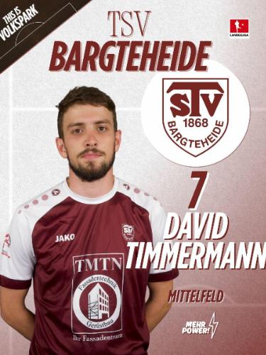 David Timmermann
