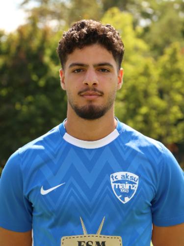 Ayman Koubaa