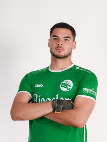 Ylies Michel Lakdar Zitouni