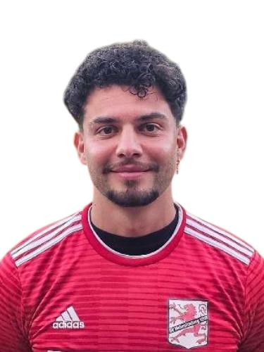 Victor Nedialkov