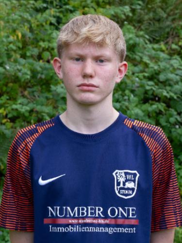 Theo-Ferdinand Tscherwitschke