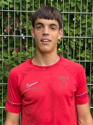 Dimitrije Rajic