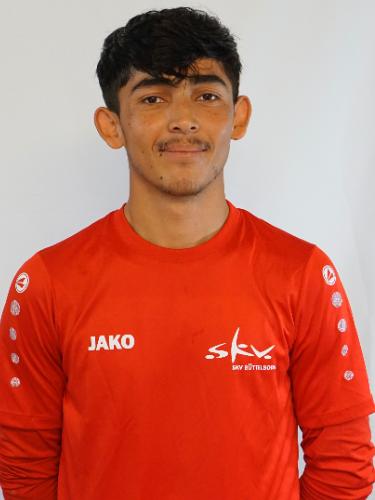 Reza Iskendari
