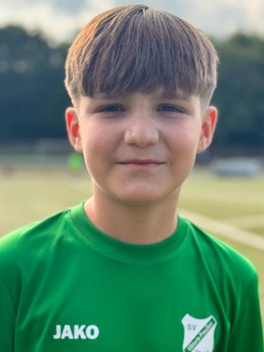 David Madalin Petrica