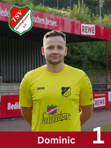 Dominic Beskow