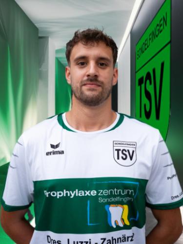 Telmo Crespo Rodrigues