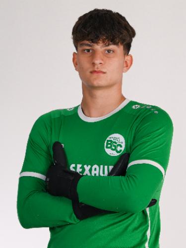 Robert Adrian Cosovanu
