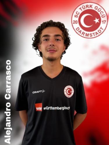 Alejandro Carrasco Feros