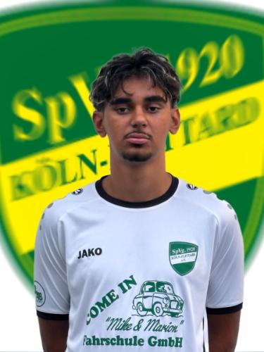 Rebin Lauren Youssef