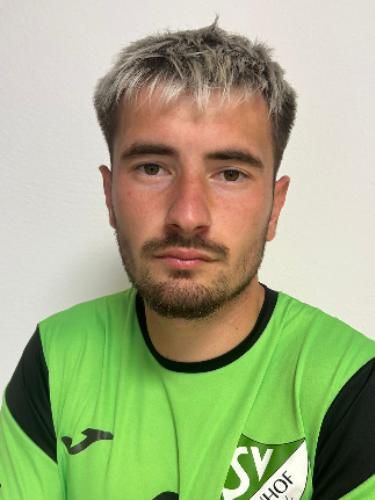 Viktor Nikolaev Gitsov