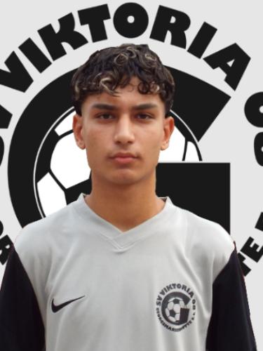 Adem Aydinöz