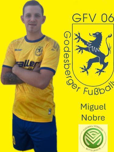 Miguel Joaquim Greis Nobre