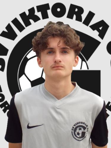 Jesper Luca Wolterink