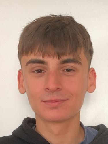 Alfonso Miguel da Rosa Domingues Vieira