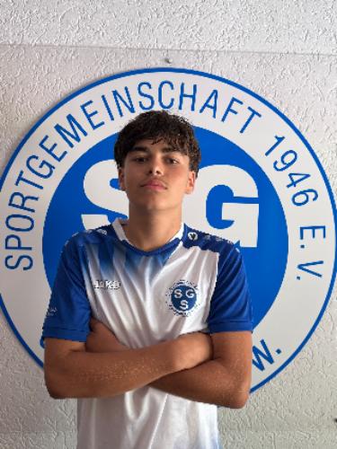 Joel Martinho Goncalves Torres
