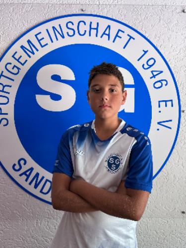 Apostolos Manteas