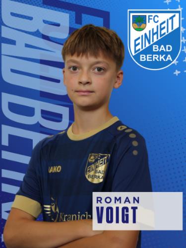Roman Voigt