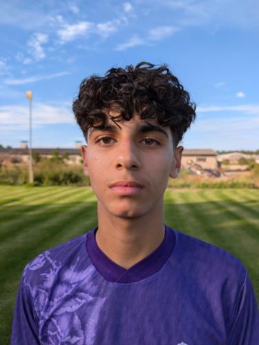 Amir Samir Nfad Ibrahim El Sayed Daoud