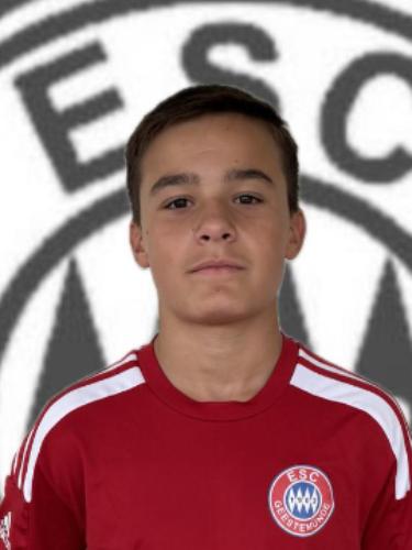 Justin-Alexandru Negrilescu