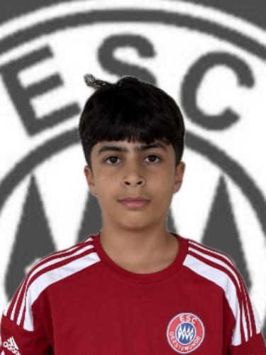 Ekrem Ziya Deliaslan