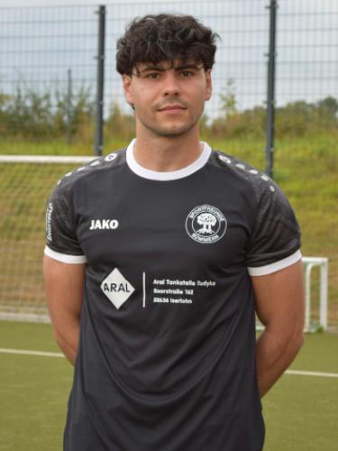 Pascal Patrik Lison