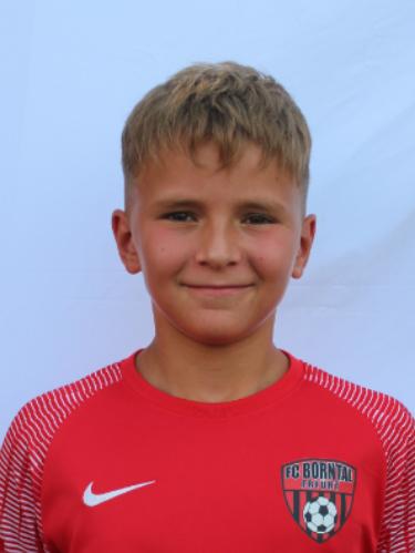 Curd-Heiner Johannes