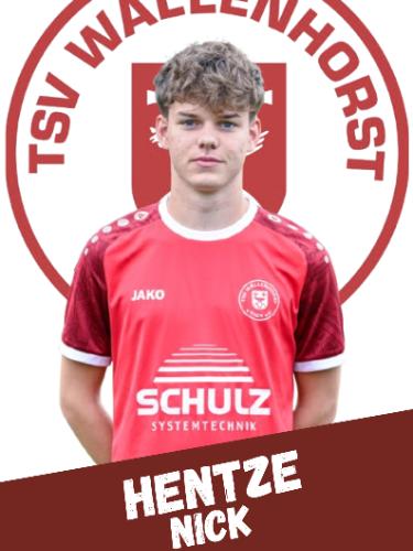 Nick Hentze