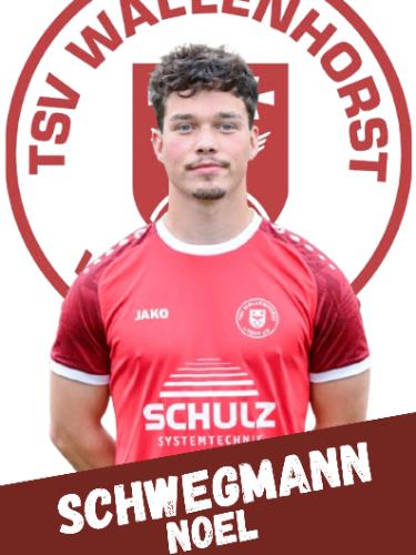 Noel Schwegmann