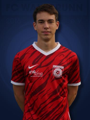 Luca Voll