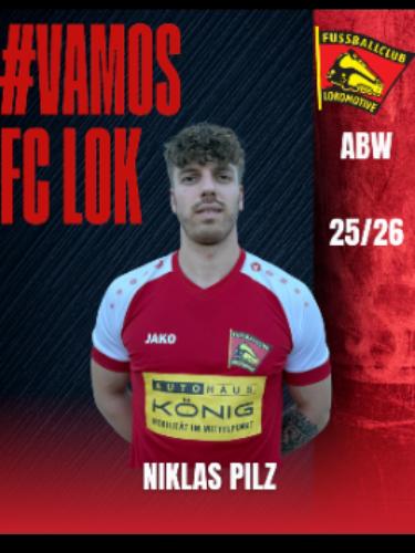 Niklas Pilz