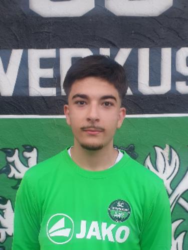 Mert Sevim