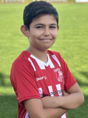 Milan Mitrovic