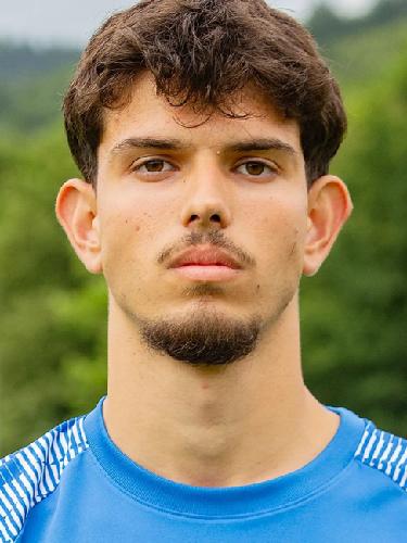 Dino Redzic