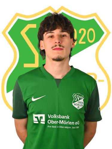 Fabian Fries