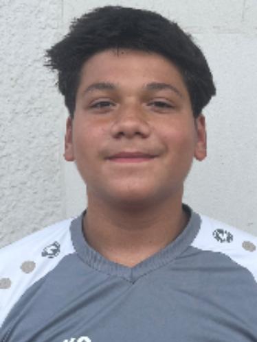 Avram-Elisei Iamandi