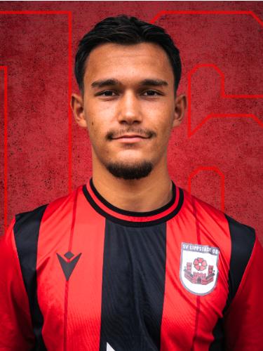 Theodoros Alexander Sinapidis