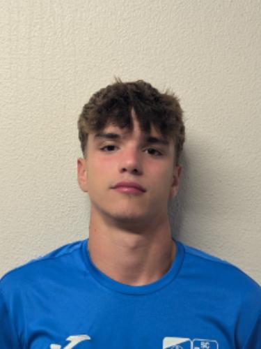 Linus Maximilian Stein