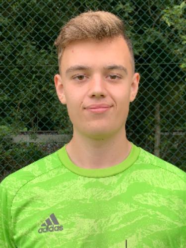 Thies Lion Teckentrup