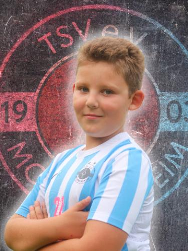 Hannes Karol Wendler