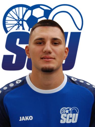 Ioannis Zarafidis