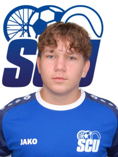 Mike Cholodenko
