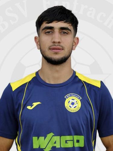 Mohammad Ehsan Shirzad