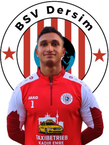 Amir Salem
